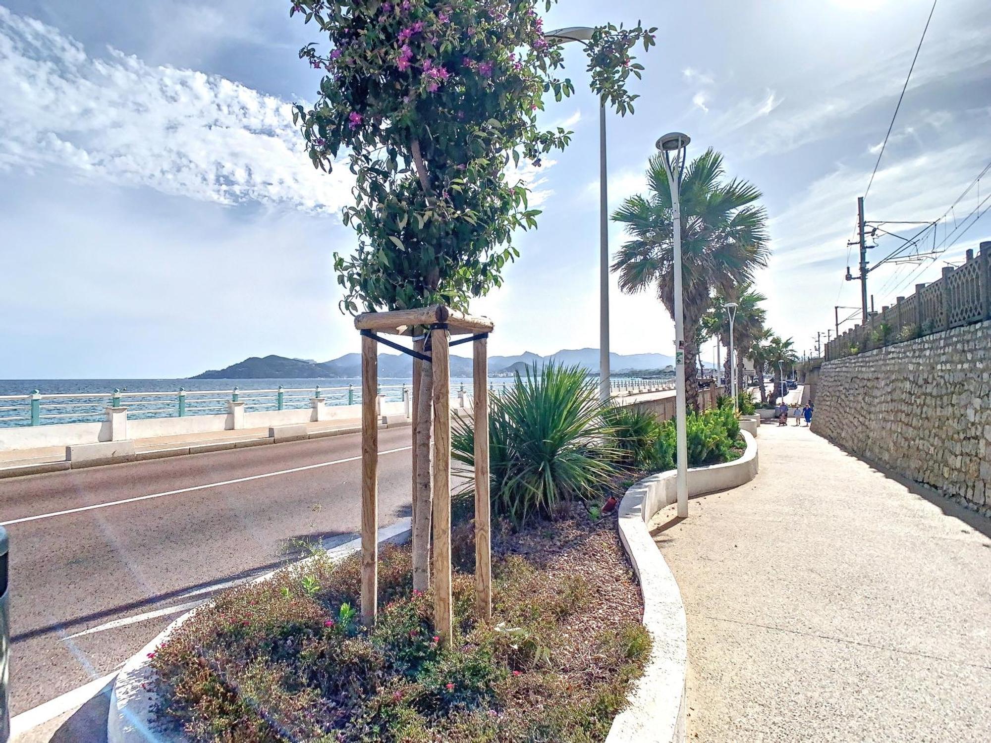 Appartement 3 Chambres A Proximite Des Plages Канны Экстерьер фото
